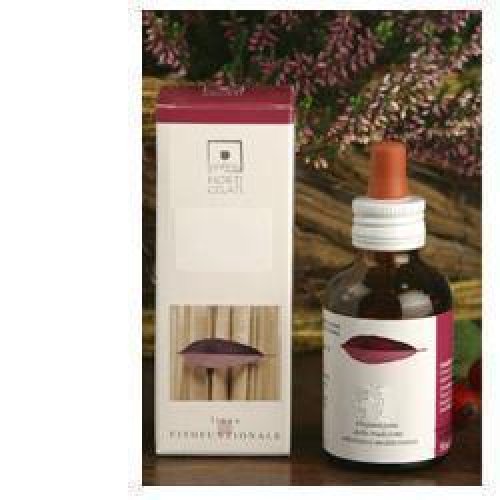 RIBES NIGRUM TM 50ML