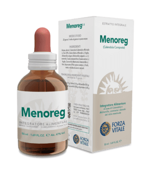 Menoreg
