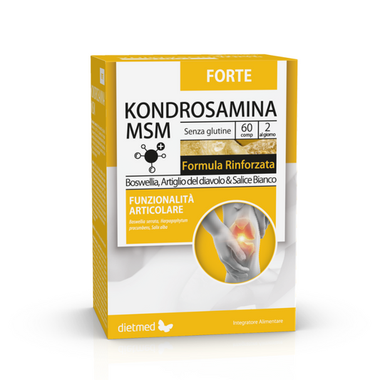 KONDROSAMINA MSM FORTE 60 compresse